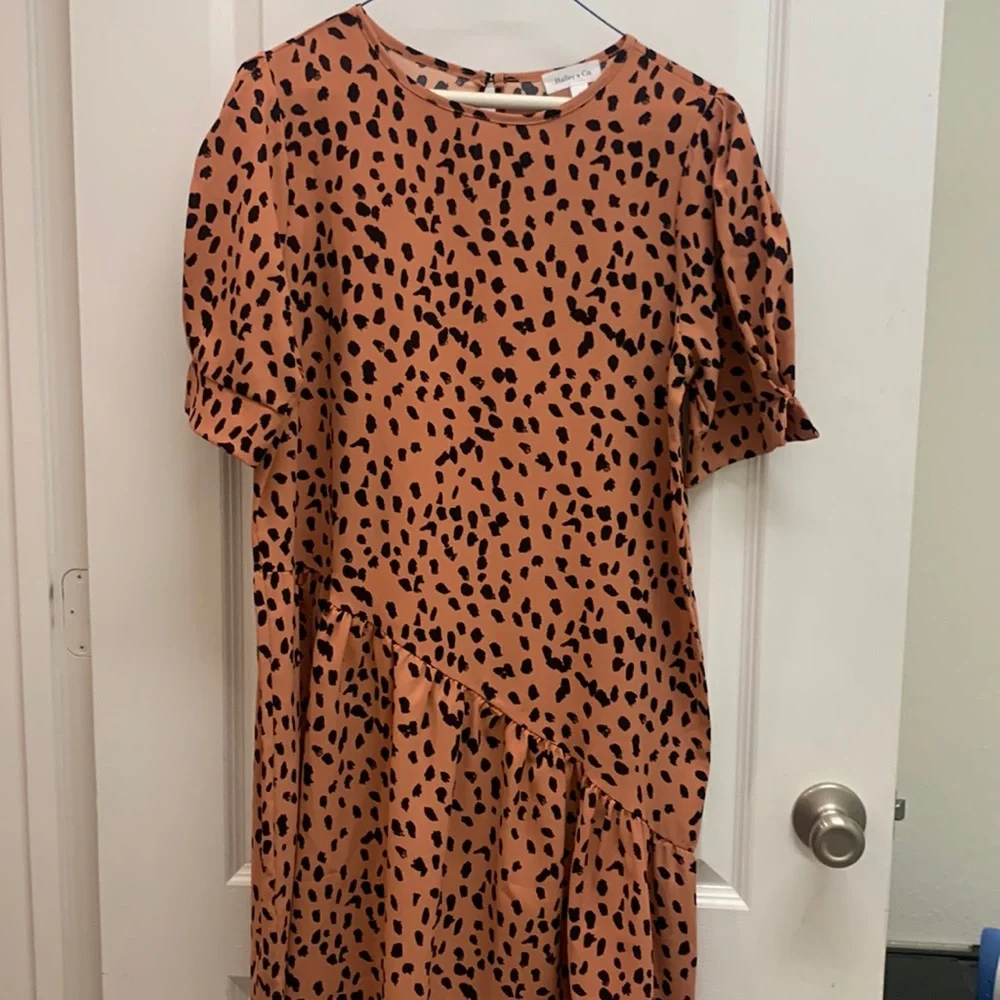 Orange Leopard print Dress - Picture 1 of 6